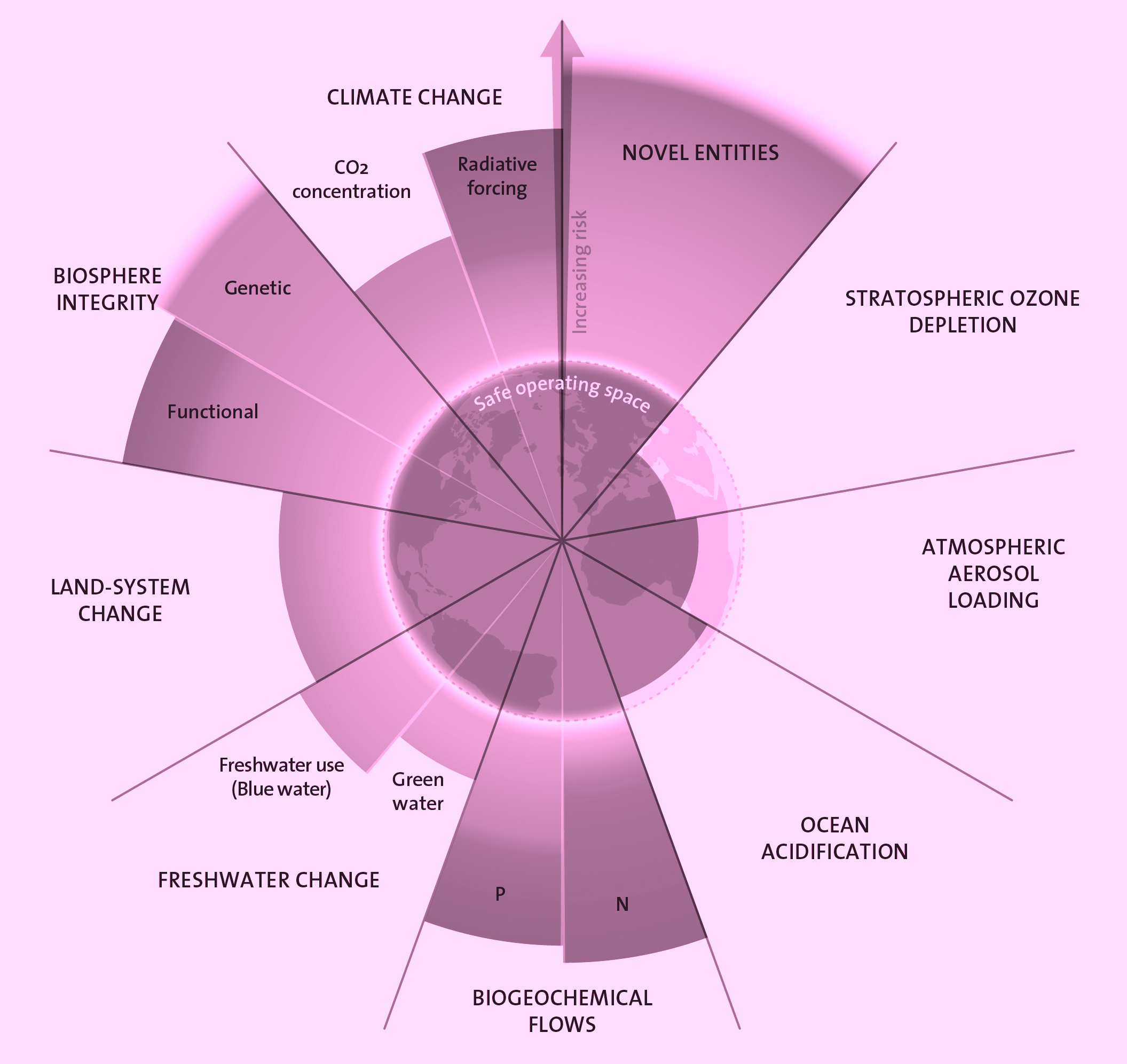 RADIUS CCA – THE LIMITS TO GROWTH Chapter 1: THE DESIRE FOR A DONUT ...